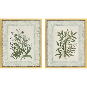 Herbs and Spice S/2 Framed Art