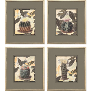 Cactus Collage S/4 Framed Art