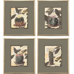 Cactus Collage S/4 Framed Art
