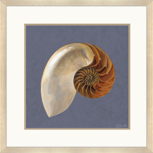 Ocean Treasure Framed Art