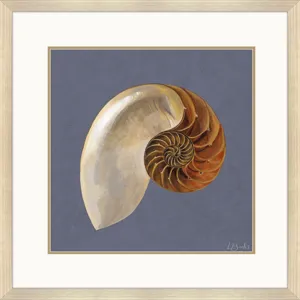 Ocean Treasure Framed Art