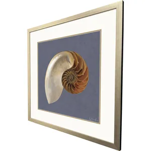 Ocean Treasure Framed Art