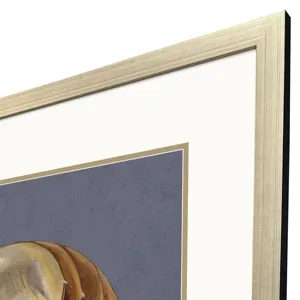 Ocean Treasure Framed Art
