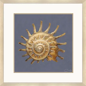 Coastal Delight Framed Art