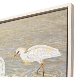 Herons and Egrets Canvas