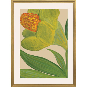 Vivid Petals Framed Art