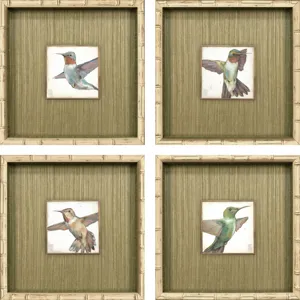 Hummingbird Flight S/4 Framed Art