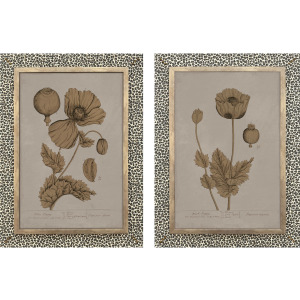 Botanical Wonder I S/2 Wall Sculpture