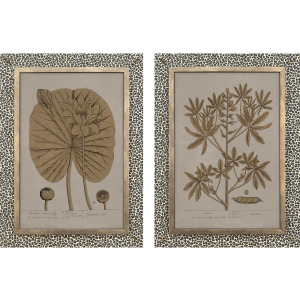 Botanical Wonder II S/2 Wall Sculpture