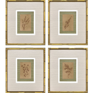 Organic Botanical I S/4 Framed Art