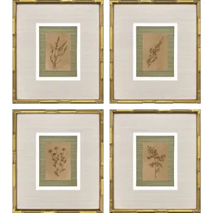 Organic Botanical I S/4 Framed Art