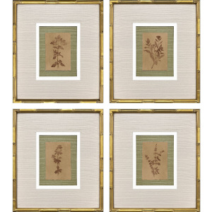 Organic Botanical II S/4 Framed Art