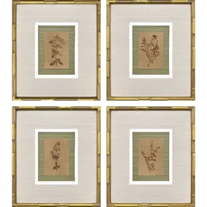 Organic Botanical II S/4 Framed Art