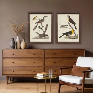 Ornithology I S/2 Framed Art