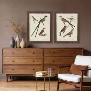 Ornithology II S/2 Framed Art