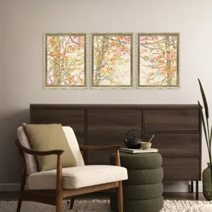 Autumnal Arbour S/3 Framed Art
