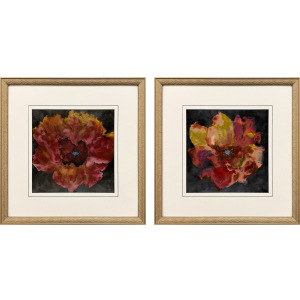 Flourish Magnolia S/2 Framed Art
