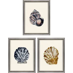 Coastal Collection I S/3 Framed Art