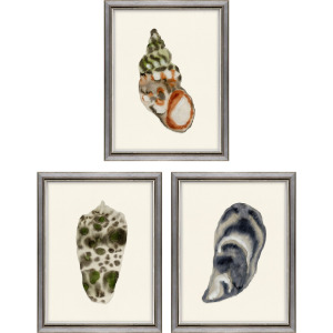 Coastal Collection II S/3 Framed Art