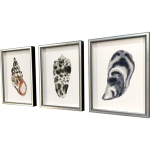 Coastal Collection II S/3 Framed Art