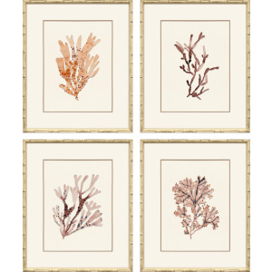 Ochre Coral S/4 Framed Art