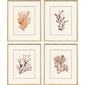 Ochre Coral S/4 Framed Art