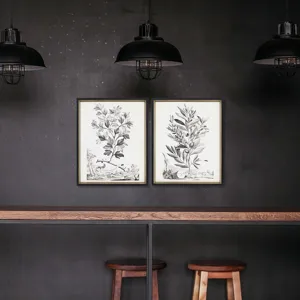 Botanicals III S/2 Framed Art