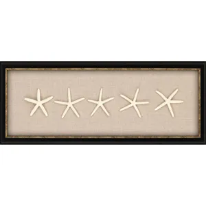 Starfish Framed Art
