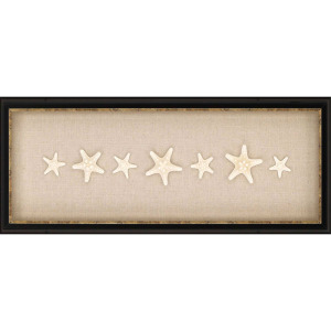 Knobby Starfish Framed Art