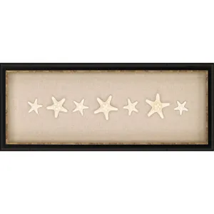 Knobby Starfish Framed Art