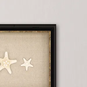 Knobby Starfish Framed Art