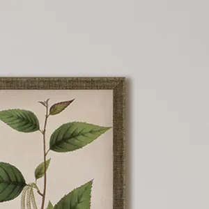 Plants I S/3 Framed Art