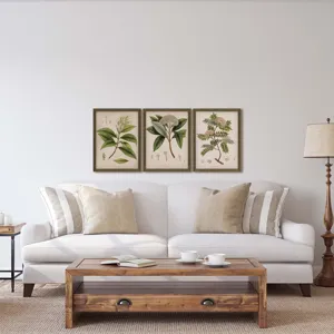Plants II S/3 Framed Art