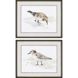 Sandpiper S/2