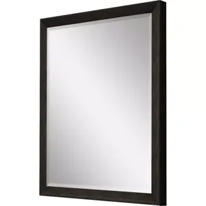 #781 30 x 40 Beveled Mirrors