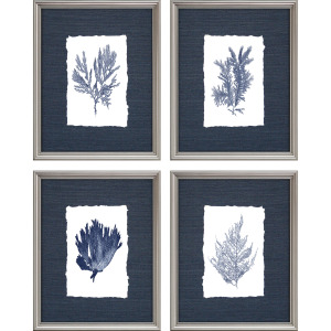 Coral S/4 Framed Art