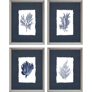 Coral S/4 Framed Art