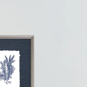 Coral S/4 Framed Art
