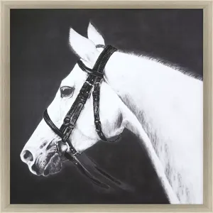 My Horse Framed Art