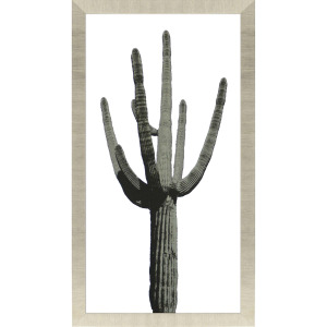 Saguaro I Framed Art
