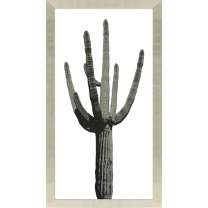 Saguaro I Framed Art