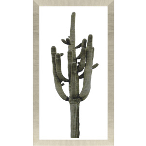 Saguaro II Framed Art