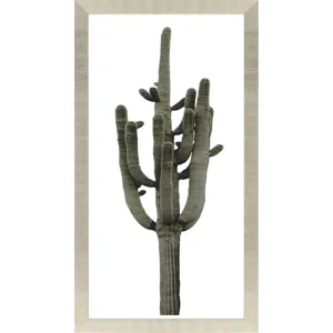 Saguaro II Framed Art
