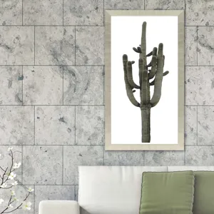Saguaro II Framed Art