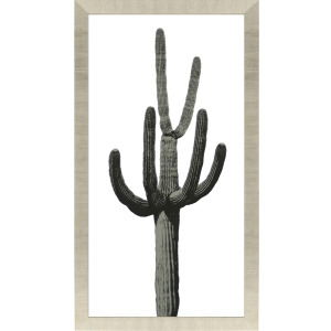Saguaro III Framed Art