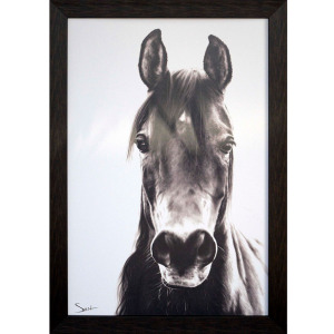 Horse Portrait Framed Art