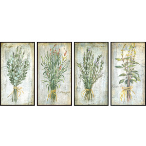 Herbs S/4 Framed Art