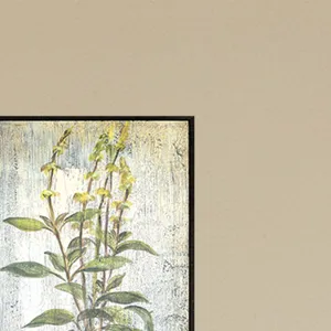 Herbs S/4 Framed Art