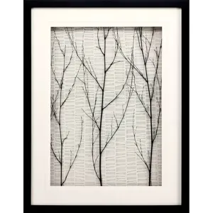 Silent Tree