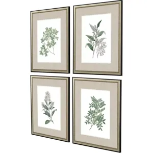 White Flowers S/4 Framed Art